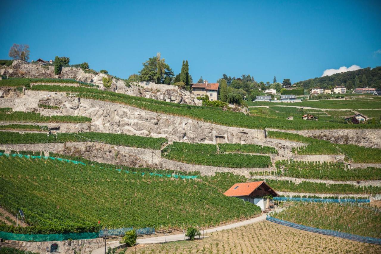 Auberge De Rivaz Εξωτερικό φωτογραφία